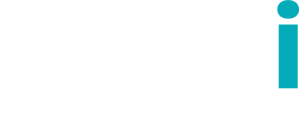 Valuii Inteligência em Negócios